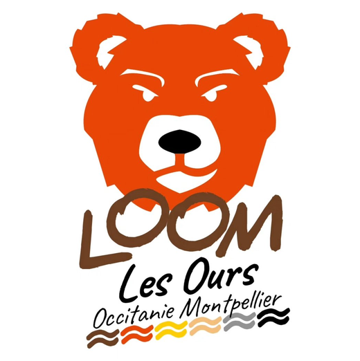 LOOM